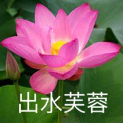 实况篮球经理手游下载